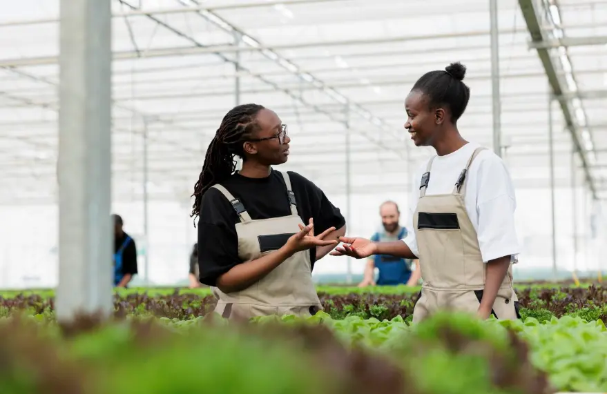 Benin Hortihub recrute 14 talents a Allada et Tchaourou !
