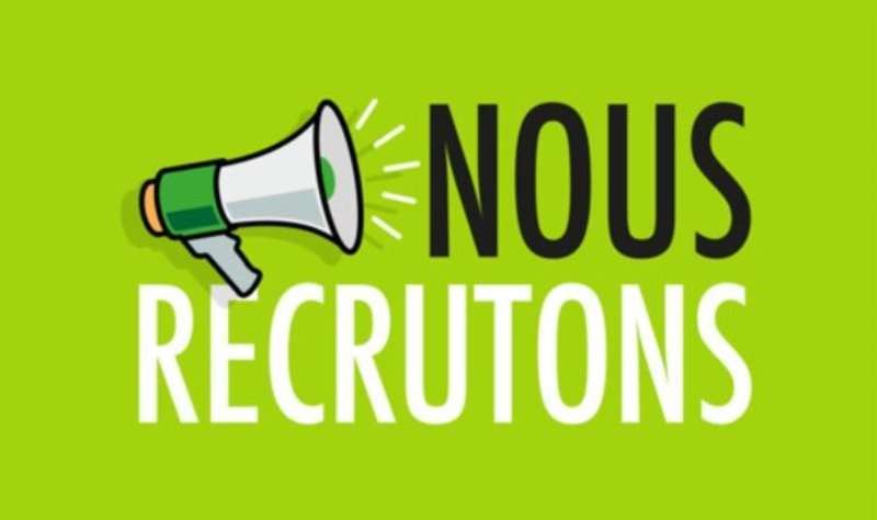 Chef de projet adjoint